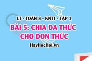 Phép chia đa thức cho đơn thức, đơn thức cho đơn thức? Ví dụ? Toán 8 bài 5 [b5c1kn1]